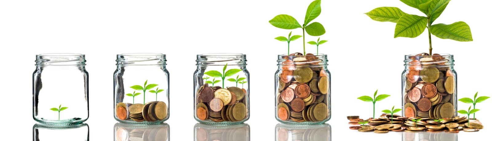 plants growing on coins in jars